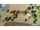 56 Oaky Creek Road, Innisplain QLD 4285