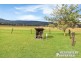 1087 Kerry Road, Kerry QLD 4285