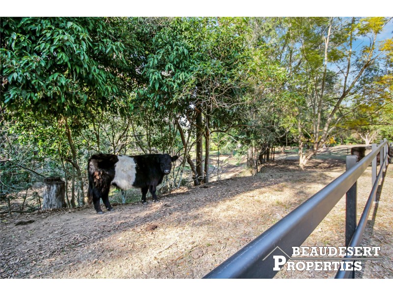 51-57 Blackbean Street, Cedar Vale QLD 4285