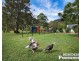 2982 Kerry Road, Darlington QLD 4285