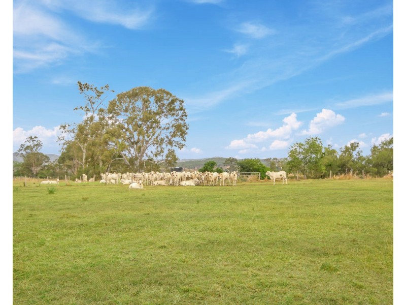 72 Round Mountain Road, Laravale QLD 4285