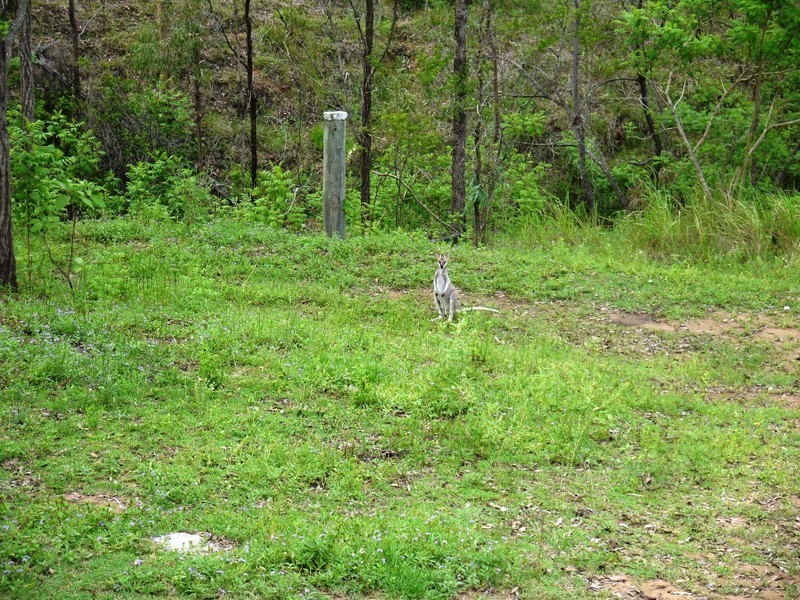 Kooralbyn QLD 4285