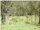 Birnam QLD 4285