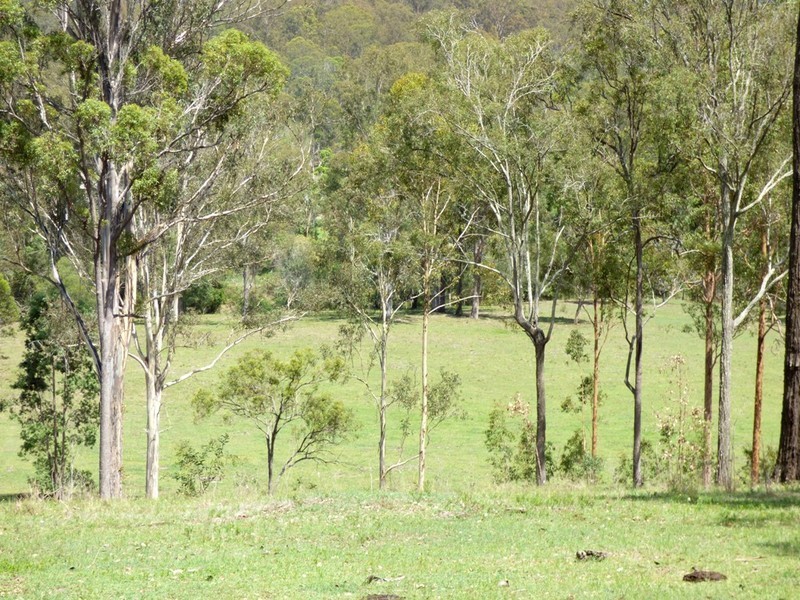 Birnam QLD 4285