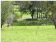 Birnam QLD 4285