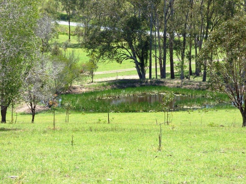 Birnam QLD 4285