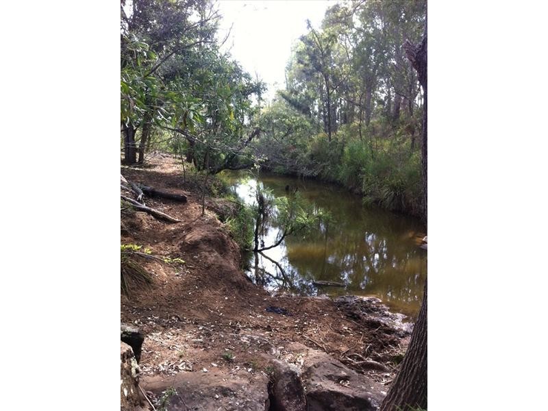 Birnam QLD 4285