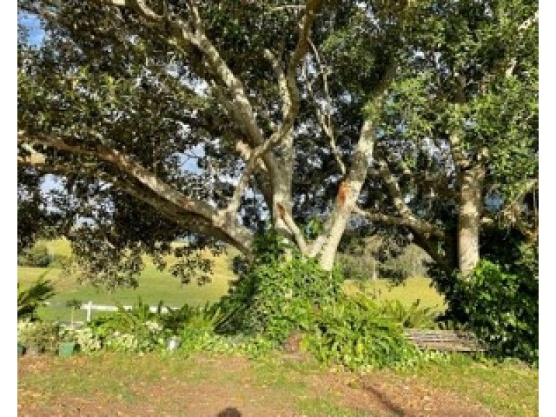 Running Creek QLD 4287