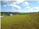Veresdale Scrub QLD 4285