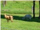 Veresdale QLD 4285