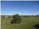Veresdale Scrub QLD 4285