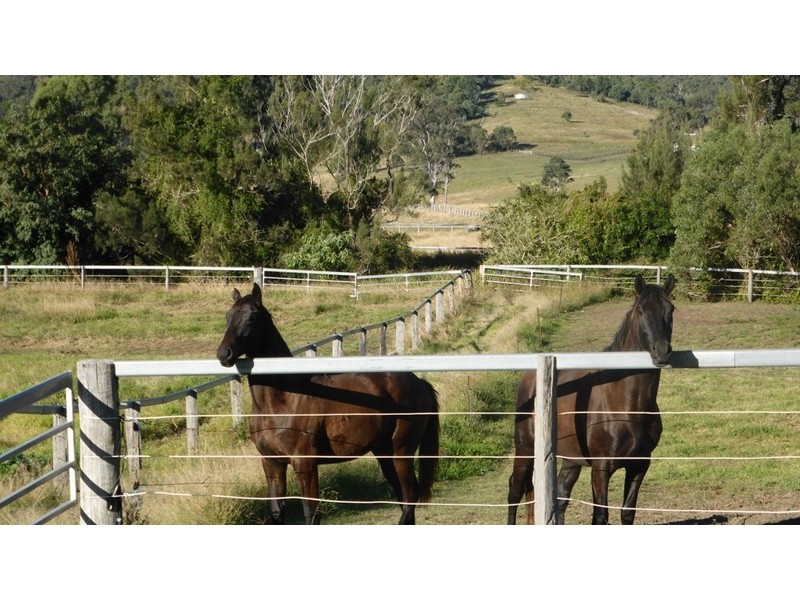 58 Armstrong Road, Biddaddaba QLD 4275