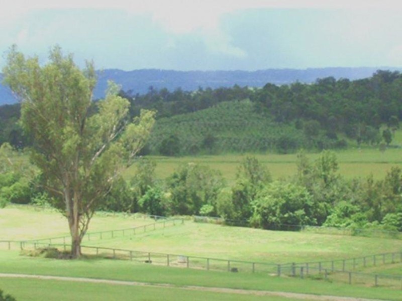 58 Armstrong Road, Biddaddaba QLD 4275