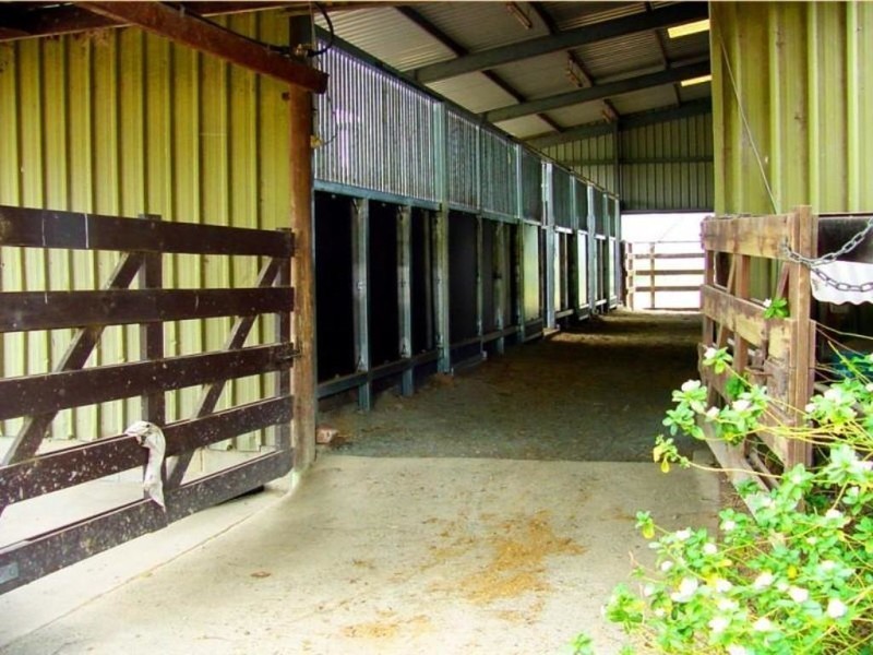 58 Armstrong Road, Biddaddaba QLD 4275