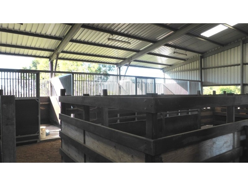58 Armstrong Road, Biddaddaba QLD 4275