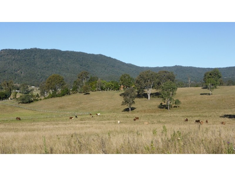 58 Armstrong Road, Biddaddaba QLD 4275