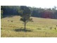 58 Armstrong Road, Biddaddaba QLD 4275