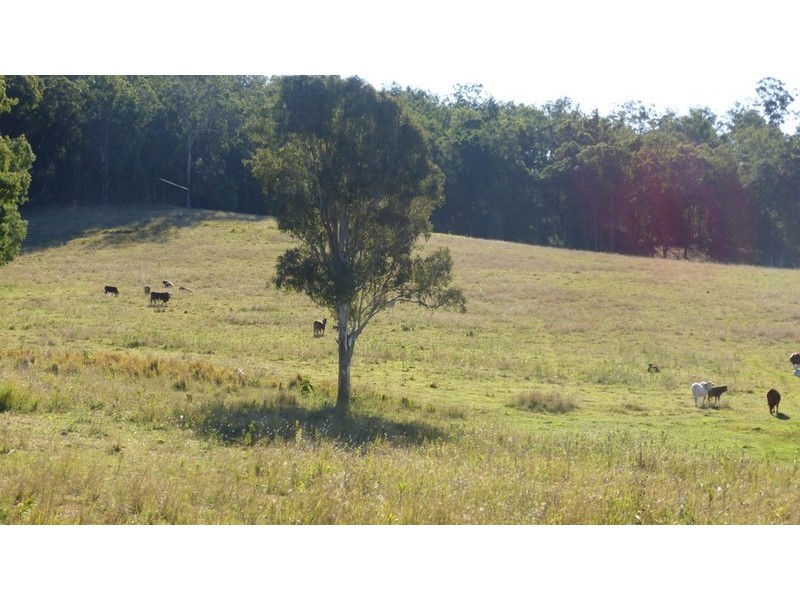 58 Armstrong Road, Biddaddaba QLD 4275