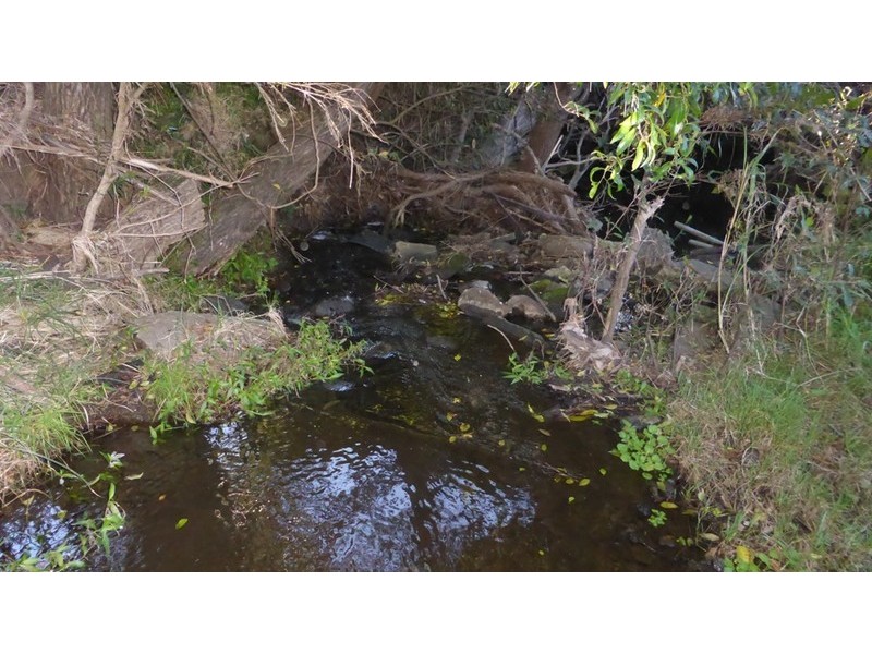 58 Armstrong Road, Biddaddaba QLD 4275