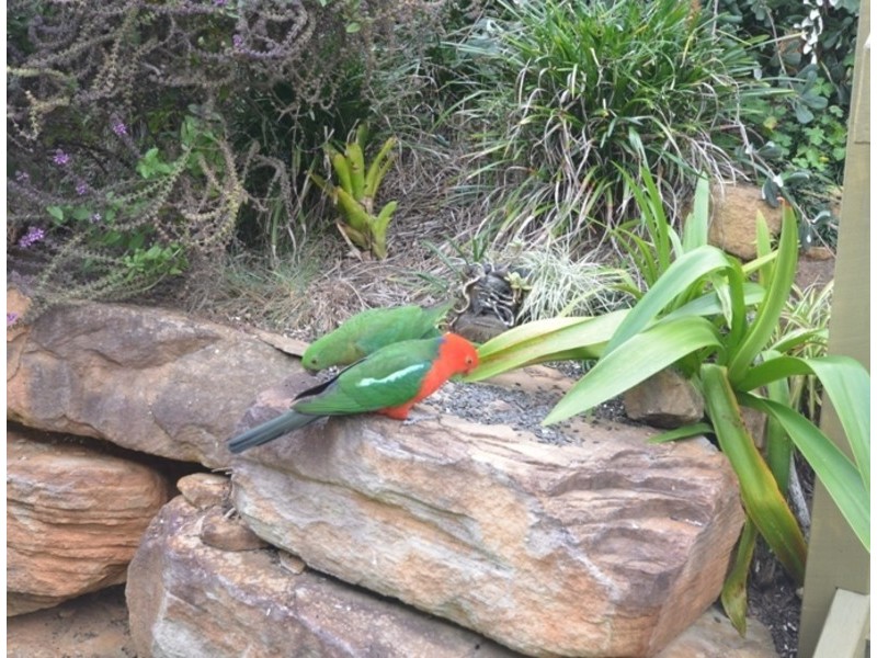 Kooralbyn QLD 4285