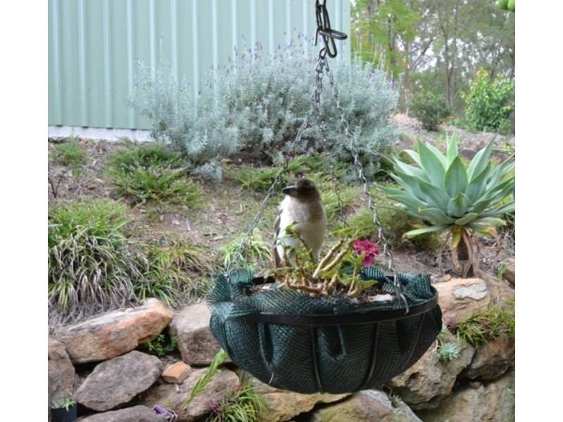 Kooralbyn QLD 4285