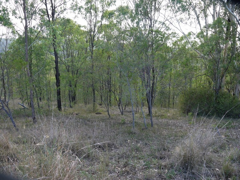 8 Muirhead, Kooralbyn QLD 4285