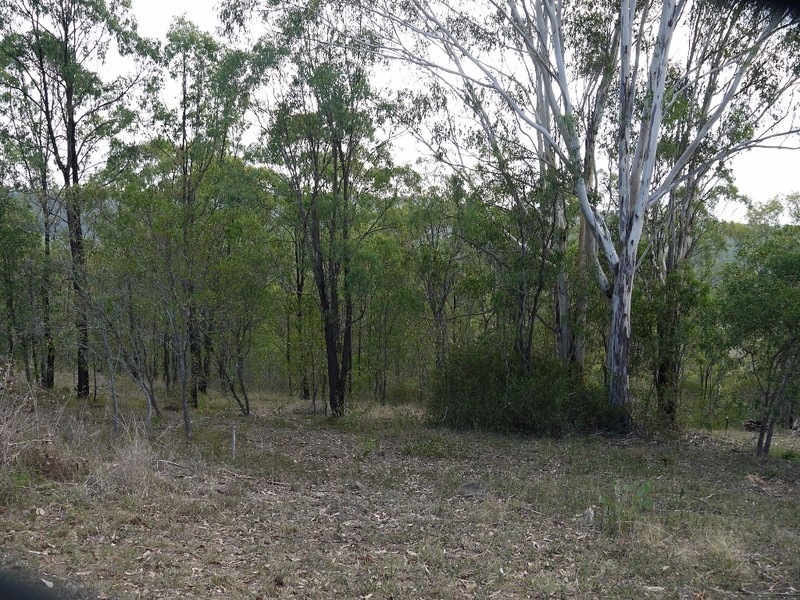 8 Muirhead, Kooralbyn QLD 4285