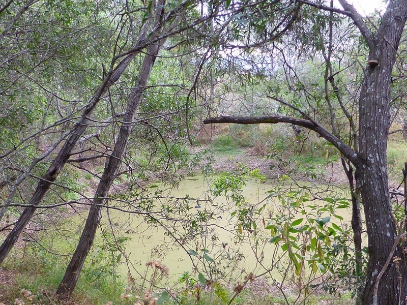405 Birnam Range Road, Beaudesert QLD 4285