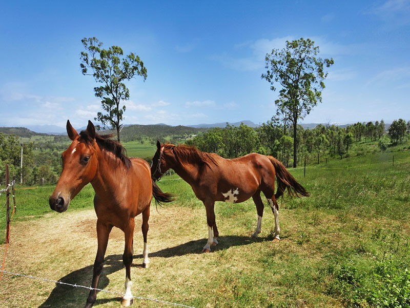 569 Oaky Creek Road, Innisplain QLD 4285