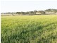 Laravale QLD 4285