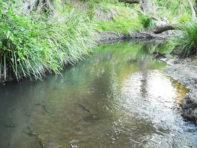 Laravale QLD 4285