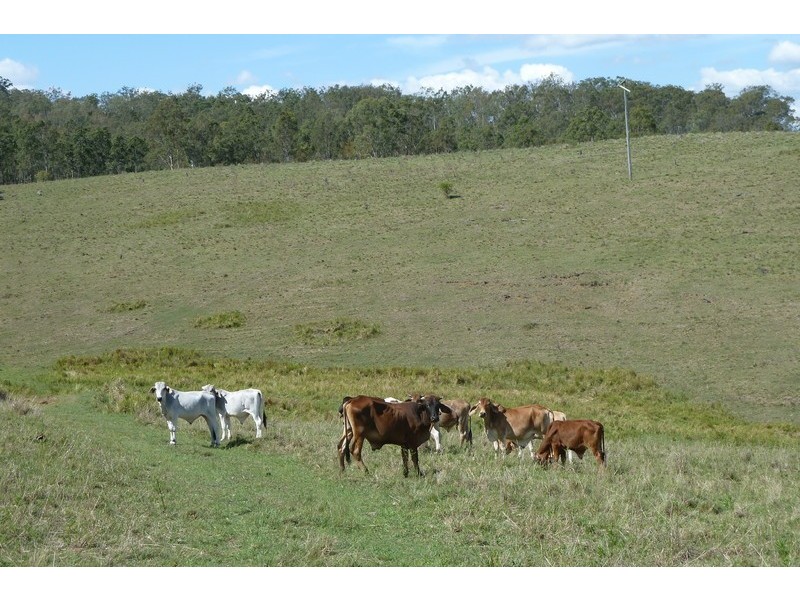 89 Christmas Creek Road, Laravale QLD 4285