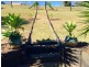 141 Walker Drive, Kooralbyn QLD 4285