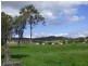 510 Oaky Creek Road, Innisplain QLD 4285