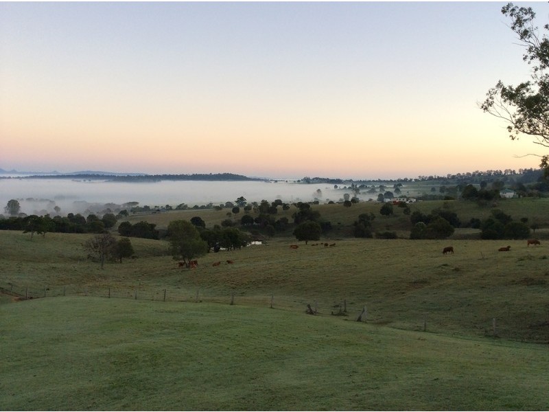 90 Panicum Close, Veresdale Scrub QLD 4285