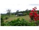 90 Panicum Close, Veresdale Scrub QLD 4285