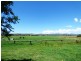 9135 Mt Lindesay Highway, Tamrookum QLD 4285
