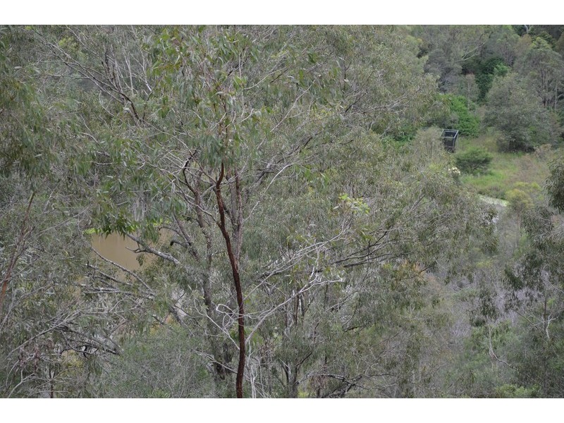 135 Campbell Drive, Kooralbyn QLD 4285