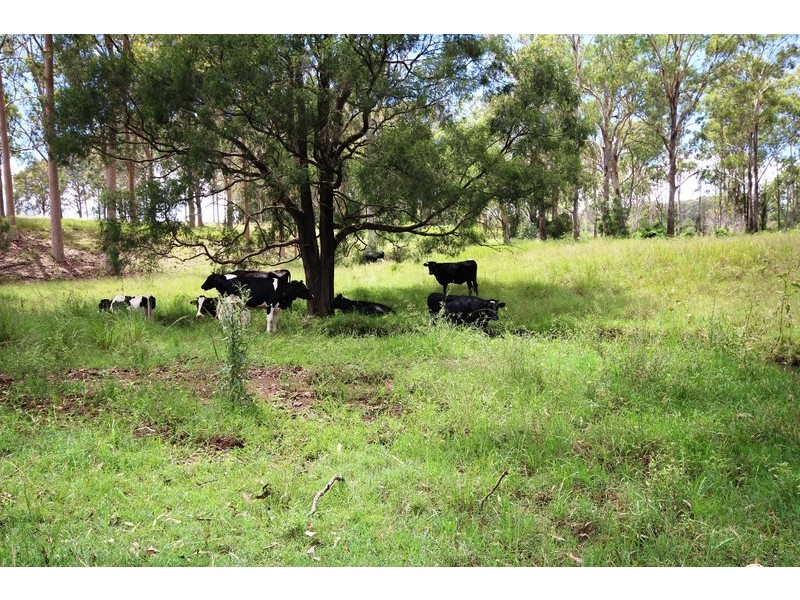 Veresdale QLD 4285