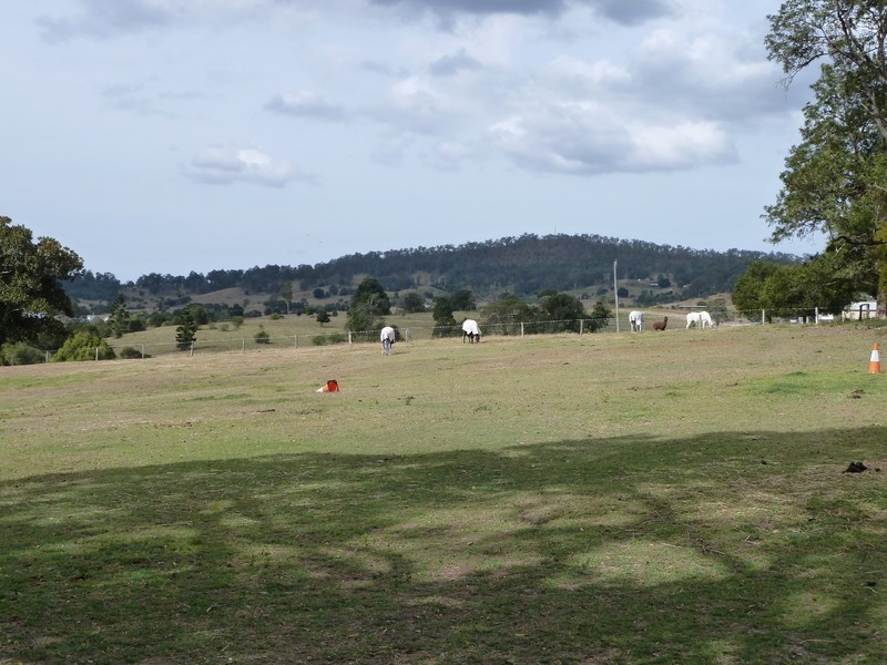 Veresdale Scrub QLD 4285