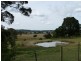 Veresdale Scrub QLD 4285