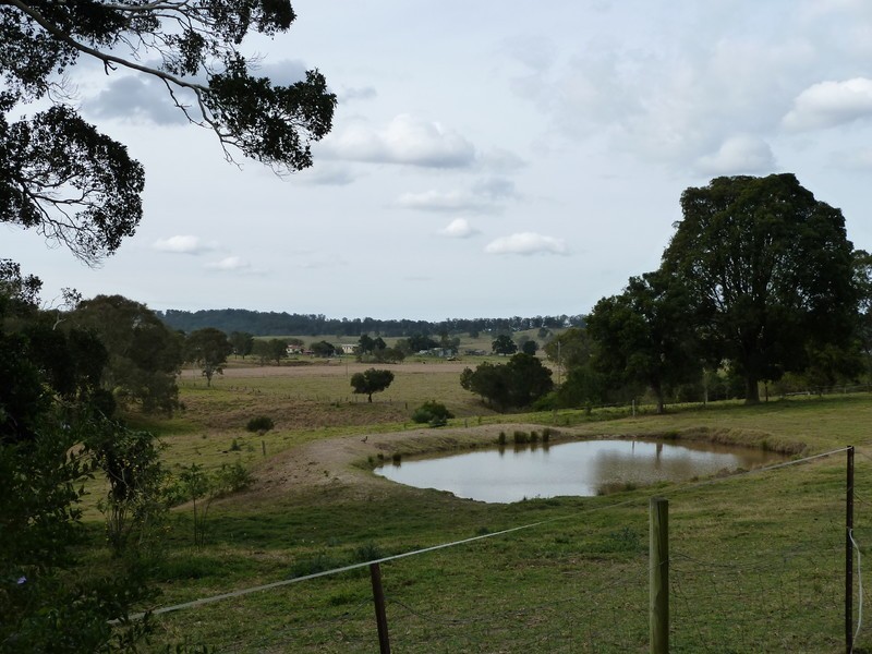 Veresdale Scrub QLD 4285