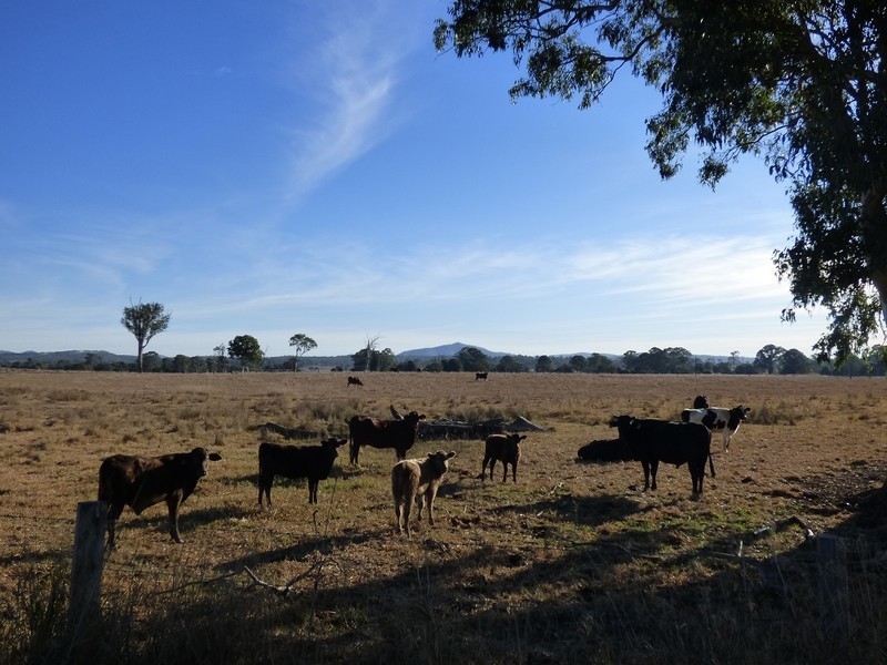 134 Hall Road, Woodhill QLD 4285