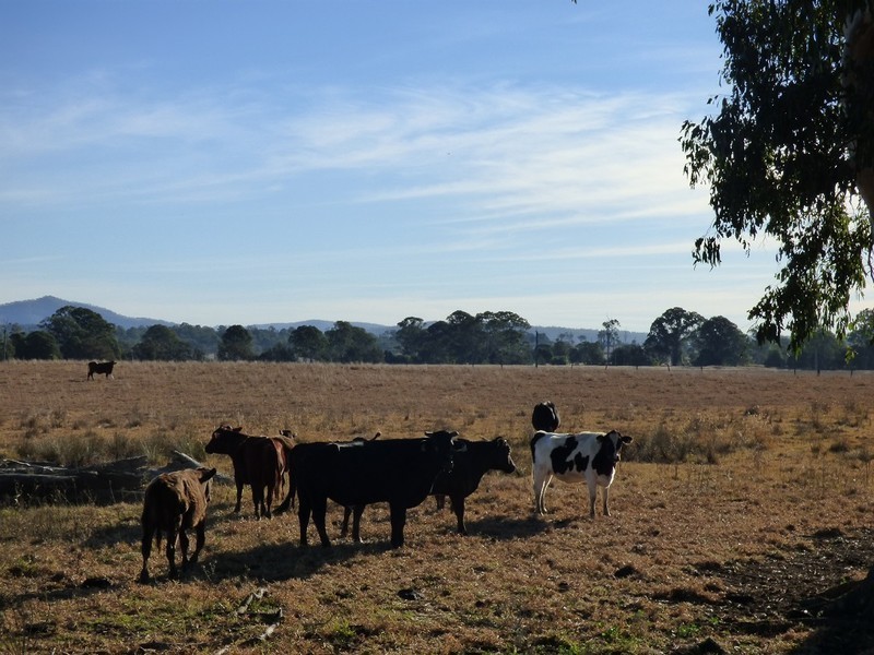 134 Hall Road, Woodhill QLD 4285