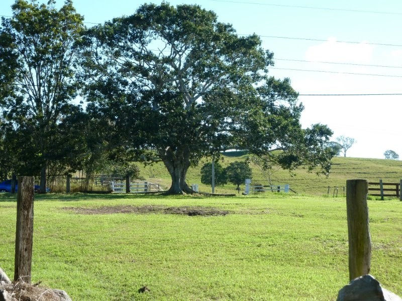 Veresdale Scrub QLD 4285