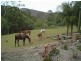 Tamborine QLD 4270