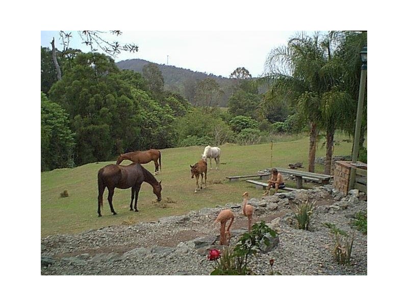 Tamborine QLD 4270