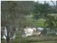 Kooralbyn QLD 4285