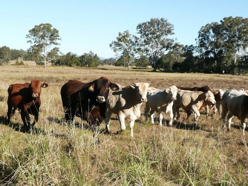 Josephville QLD 4285