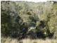 Kooralbyn QLD 4285
